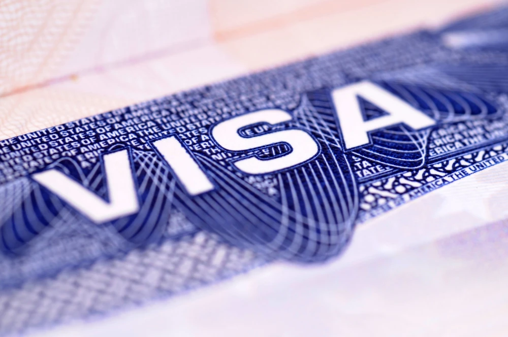golenvisa